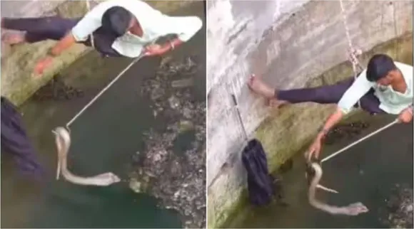 youth rescue cobra from well, viral video, cobra rescue from well viral video, kerala, cobra rescue,