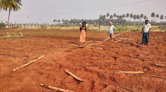 Coimbatore: elephants destroyed cropland Tamil News