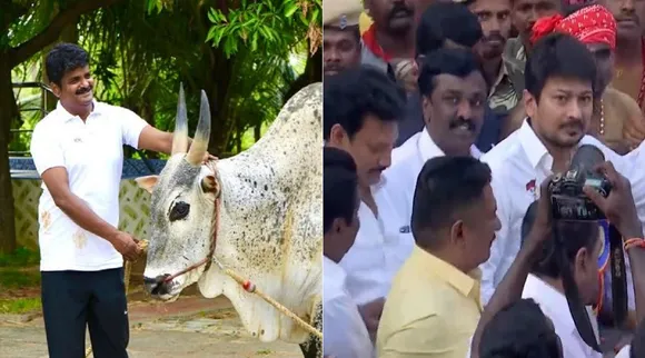 சீறி பாய்ந்த கொம்பன்; விஜயபாஸ்கர் காளைக்கு தங்க நாணயம் பரிசு வழங்கிய உதயநிதி