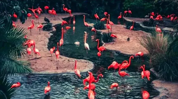 Optical Illusion, Optical Illusion Pictures, Optical Illusion Viral Picture, Optical Illusion Animal Picture, ஆப்டிகல் இல்யூஷன், ஆப்டிகல் இல்யூஷன் சவால், ஆப்டிகல் இல்யூஷன் படம், நீர்யானை கண்டுபிடிக்க முடியுமா? நீர்யானை, Optical Illusion Viral Photos, Optical Illusion Latest, about optical illusion,Optical Illusion photos, Optical Illusion pictures, Optical Illusion images, can you spot hippopotamus
