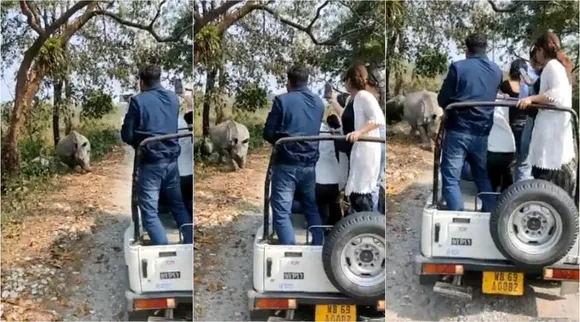 viral video, Rhinocros, Viral video, Rhinoceros splashing video, Safari, வைரல் வீடியோ, காண்டாமிருகம், சஃபாரி