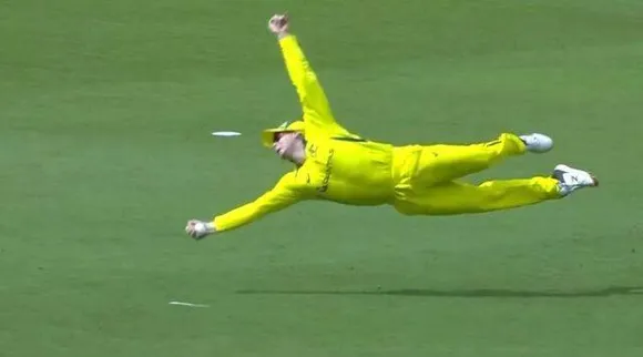 steve smith