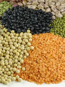பருப்பு வகைகள்