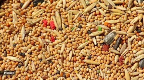 international year of millets, IE news, news today, delhi news, army ration, படை வீரர்களின் ரேஷன்களில் பாரம்பரிய சிறுதானியங்களைஅறிமுகப்படுத்த ராணுவம் முடிவு - Army to introduce native, traditional millets in troop rations