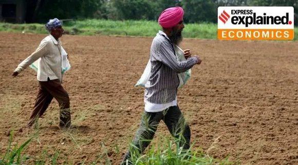 Why urea rules Indias farms