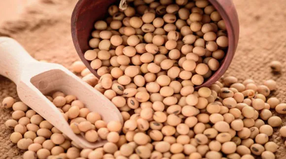Soya beans