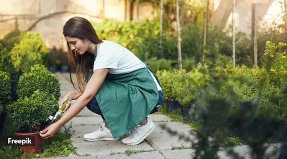 Gardening Tips