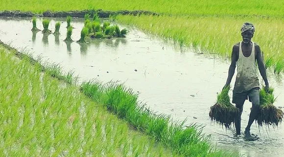 Farmer