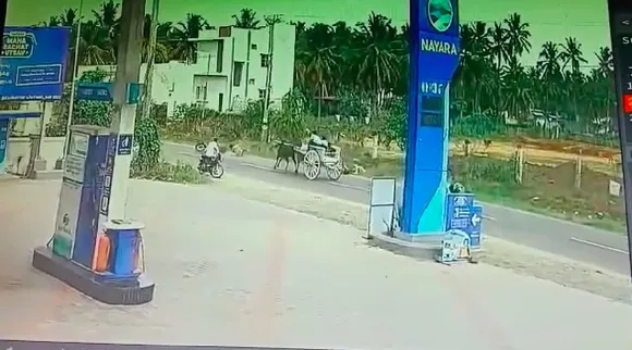 Coimbatore road Accident, caused by cow: Wife dies in front of husband; CCTV footage Tamil News