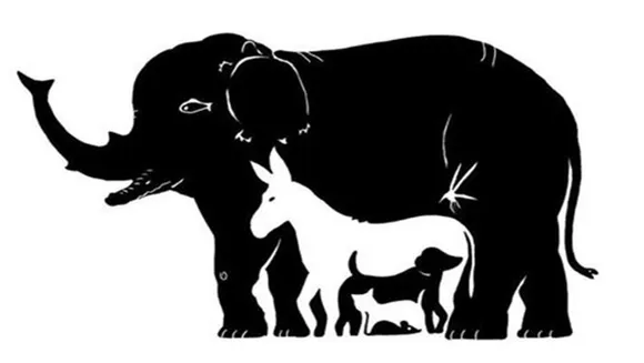 Only highly intelligent people can find all 13 hidden animals in 10 seconds