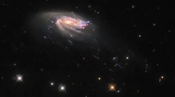 Jellyfish Galaxy