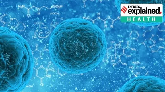 AI to find an antibiotic against a superbug