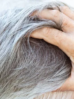 istockphoto-1446486860-612x612 (1)