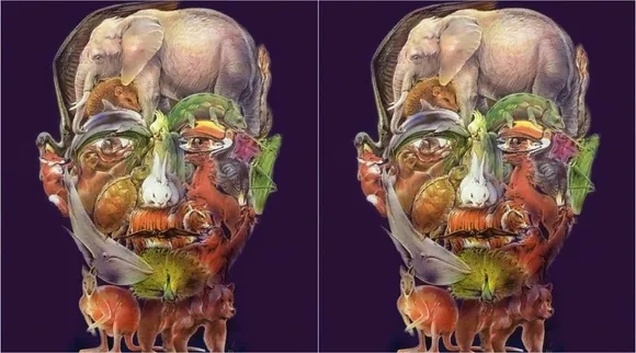 Optical Illusion, Optical Illusion Pictures, Optical Illusion Viral Picture, Optical Illusion Animal Picture, Optical Illusion Viral Photos, ஆப்டிகல் இல்யூஷன், ஆப்டிகல் இல்யூஷன் சவால், ஆப்டிகல் இல்யூஷன் வைரல், ஆப்டிகல் இல்யூஷன் படம், யானையை கண்டுபிடிக்க முடியுமா? அதிபுத்திசாலி, Optical Illusion Latest, about optical illusion,Optical Illusion photos, Optical Illusion pictures, Optical Illusion images