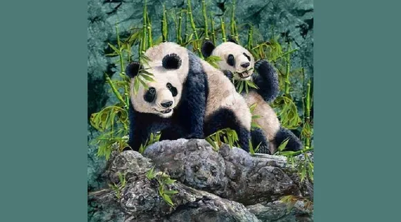 Optical Illusion, Optical Illusion Pictures, Optical Illusion Viral Picture, Optical Illusion Animal Picture, Optical Illusion Viral Photos, ஆப்டிகல் இல்யூஷன், ஆப்டிகல் இல்யூஷன் படம், ஆப்டிகல் இல்யூஷன் சவால், Optical Illusion Latest, about optical illusion,Optical Illusion photos, Optical Illusion pictures, Optical Illusion images