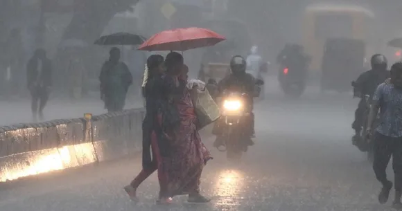 Rain
