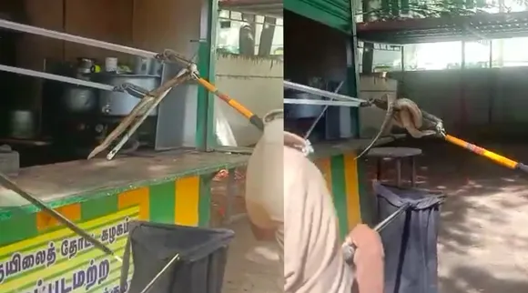 Coimbatore: five foot-long snake in tea shop video Tamil News