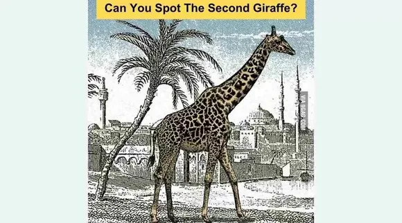 Optical Illusion, Optical Illusion Pictures, Optical Illusion Viral Picture, Optical Illusion Animal Picture, Optical Illusion Viral Photos, ஆப்டிகல் இல்யூஷன், ஆப்டிகல் இல்யூஷன் படம், ஆப்டிகல் இல்யூஷன் சவால், Optical Illusion Latest, about optical illusion,Optical Illusion photos, Optical Illusion pictures, Optical Illusion images