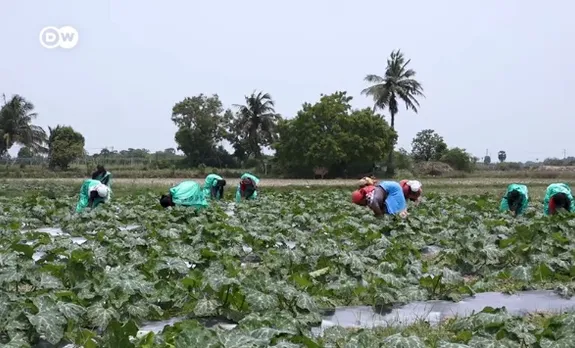 Organic farming