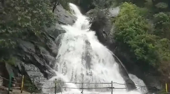 Kaviaruvi