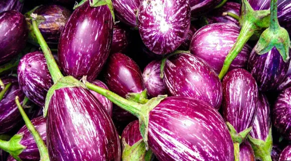 Brinjal