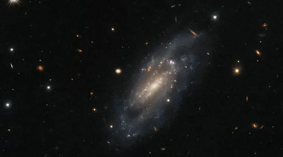 Spiral Galaxy
