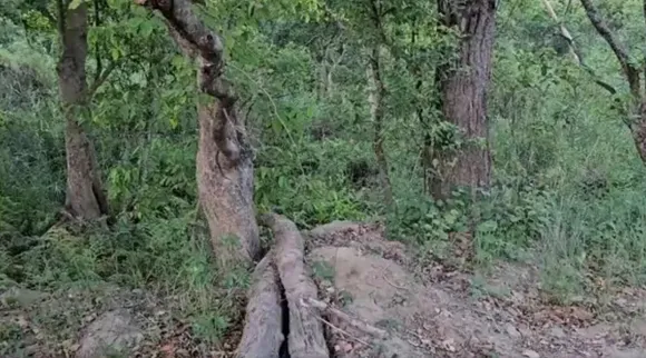Optical Illusion, Optical Illusion Pictures, Optical Illusion Viral Picture, Optical Illusion Animal Picture, ஆப்டிகல் இல்யூஷன், ஆப்டிகல் இல்யூஷன் படம், ஆப்டிகல் இல்யூஷன் சவால், வைரல் படம், ஆப்டிகல் இல்யூஷன் வைரல், Optical Illusion Viral Photos, Optical Illusion Latest, about optical illusion,Optical Illusion photos, Optical Illusion pictures, Optical Illusion images