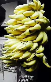 Matti banana