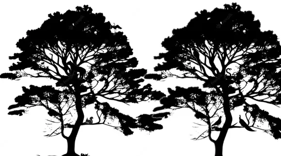 Optical Illusion, Optical Illusion Pictures, Optical Illusion Viral Picture, Optical Illusion Animal Picture, ஆப்டிகல் இல்யூஷன், ஆப்டிகல் இல்யூஷன் படம், ஆப்டிகல் இல்யூஷன் விலங்கு, ஆப்டிகல் இல்யூஷன் வைரல், ஆப்டிகல் இல்யூஷன் சவால், வைரல் படம், Optical Illusion Viral Photos, Optical Illusion Latest, about optical illusion, Optical Illusion photos, Optical Illusion pictures, Optical Illusion images