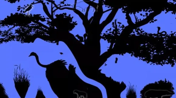 Optical Illusion, Optical Illusion Pictures, Optical Illusion Viral Picture, Optical Illusion Animal Picture, ஆப்டிகல் இல்யூஷன், ஆப்டிகல் இல்யூஷன் படம், ஆப்டிகல் இல்யூஷன் விலங்கு, ஆப்டிகல் இல்யூஷன் வைரல், ஆப்டிகல் இல்யூஷன் சவால், வைரல் படம், Optical Illusion Viral Photos, Optical Illusion Latest, about optical illusion, Optical Illusion photos, Optical Illusion pictures, Optical Illusion images
