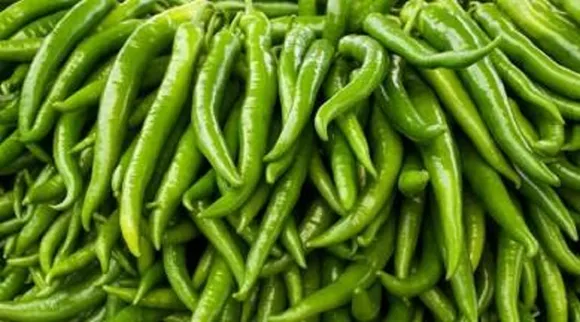 green chillies price