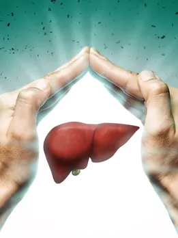 liver