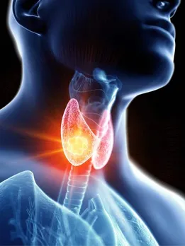 thyroid