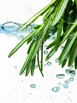 istockphoto-1322812014-612x612 (1)