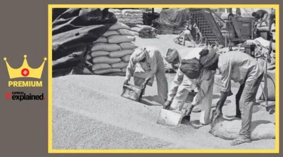 wheat production, Wheat procurement, rice production, அரசாங்கத்திடம் கொடுக்க அதிக பணம் இருக்கிறது, கோதுமை, அரிசி, அரசாங்கத்திடம் குறைவான தானியம் இருப்பது ஏன், rice prices, Explained, Indian Express Explained, Current Affairs