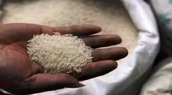 rice