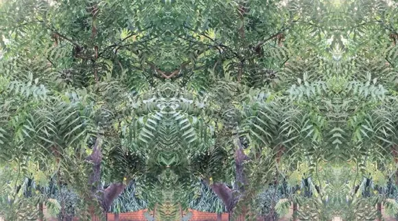 Optical Illusion, Optical Illusion Pictures, Optical Illusion Viral Picture, Optical Illusion Animal Picture, ஆப்டிகல் இல்யூஷன், ஆப்டிகல் இல்யூஷன் படம், ஆப்டிகல் இல்யூஷன் விலங்கு, ஆப்டிகல் இல்யூஷன் வைரல், ஆப்டிகல் இல்யூஷன் சவால், வைரல் படம், Optical Illusion Viral Photos, Optical Illusion Latest, about optical illusion, Optical Illusion photos, Optical Illusion pictures, Optical Illusion images