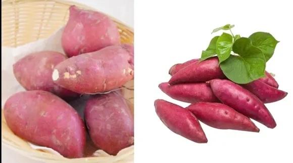 sakkaravalli kilangu vada