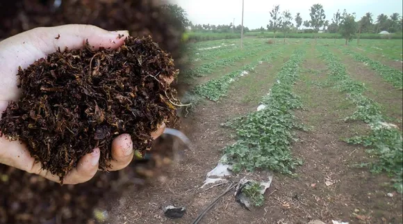 Natural fertilizer