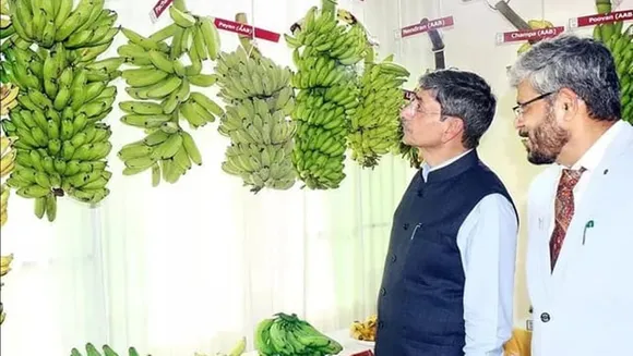 Governor RN Ravi said that banana is a powerful drug