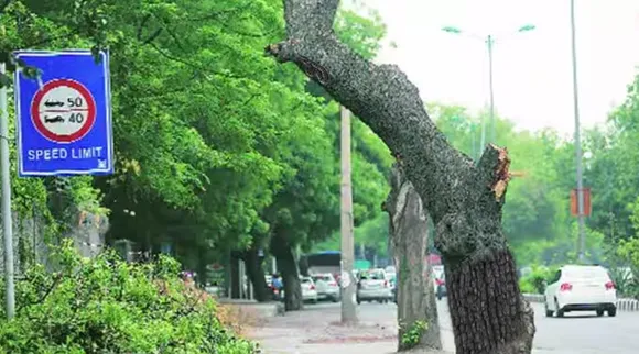 Optical Illusion, Optical Illusion Pictures, Optical Illusion Viral Picture, Optical Illusion Animal Picture, ஆப்டிகல் இல்யூஷன், ஆப்டிகல் இல்யூஷன் படம், ஆப்டிகல் இல்யூஷன் சவால், ஆப்டிகல் இல்யூஷன் வைரல், Optical Illusion Viral Photos, Optical Illusion Latest, about optical illusion, Optical Illusion photos, Optical Illusion pictures, Optical Illusion images