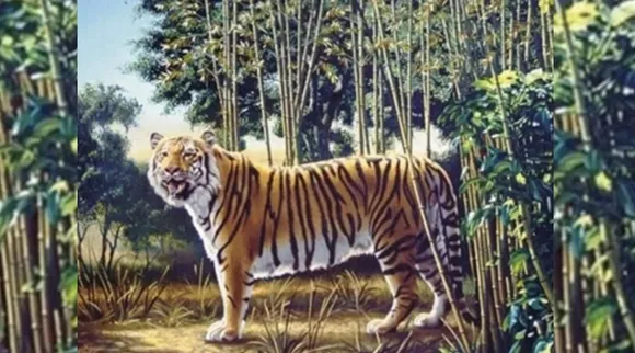 Optical Illusion, Optical Illusion Pictures, Optical Illusion Viral Picture, Optical Illusion Animal Picture, ஆப்டிகல் இல்யூஷன், ஆப்டிகல் இல்யூஷன் படம், Optical Illusion Viral Photos, Optical Illusion Latest, about optical illusion,Optical Illusion photos, Optical Illusion pictures, Optical Illusion images
