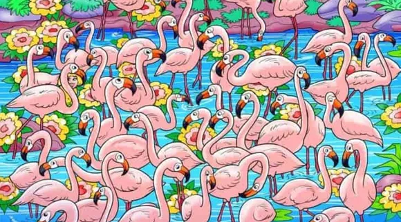 Optical Illusion, Optical Illusion Pictures, Optical Illusion Viral Picture, Optical Illusion Animal Picture, ஆப்டிகல் இல்யூஷன் படம், ஆப்டிகல் இல்யூஷன், ஆப்டிகல் இல்யூஷன் சவால், ஆப்டிகல் இல்யூஷன் புதிர், இந்த படத்தில் மறைந்திருக்கும் சிறுத்தையைக் கண்டுபிடிங்க, Optical Illusion Viral Photos, Optical Illusion Latest, about optical illusion,Optical Illusion photos, Optical Illusion pictures, Optical Illusion images