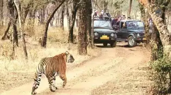 Optical Illusion, Optical Illusion Pictures, Optical Illusion Viral Picture, Optical Illusion Animal Picture, ஆப்டிகல் இல்யூஷன், ஆப்டிகல் இல்யூஷன் படம், ஆப்டிகல் இல்யூஷன் சவால், ஆப்டிகல் இல்யூஷன் வைரல், Optical Illusion Viral Photos, Optical Illusion Latest, about optical illusion, Optical Illusion photos, Optical Illusion pictures, Optical Illusion images