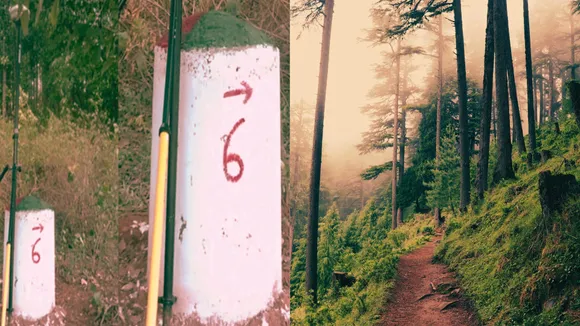 Mussoorie Forest Scam Boundary Pillars Missing