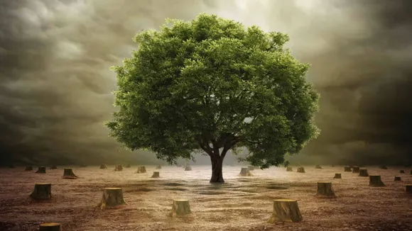 International Day of Forests 2023: Manipulative Forest Report Masking India’s True Forest Cover Story?