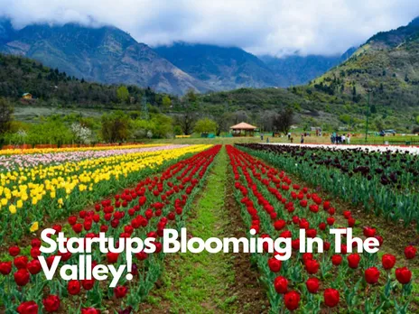 Startups