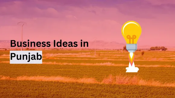 Business Idea for Punjab