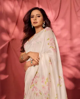 Sargun Mehta: The Queen of Punjabi Cinema