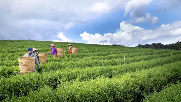 Protecting Your Rights As An Injured Agricultural Worker In The San Joaquin Valley